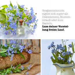 growbro forget-me-not growing set, grow your OWN LOVE SYMBOL, gifts for best friends, gift ideas for women, and much more.