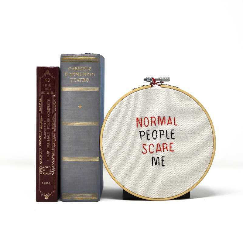 Embroidery funny sentence on canvas 15 cm