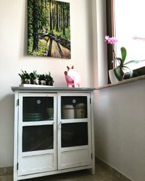 Spaziergang im Wald
