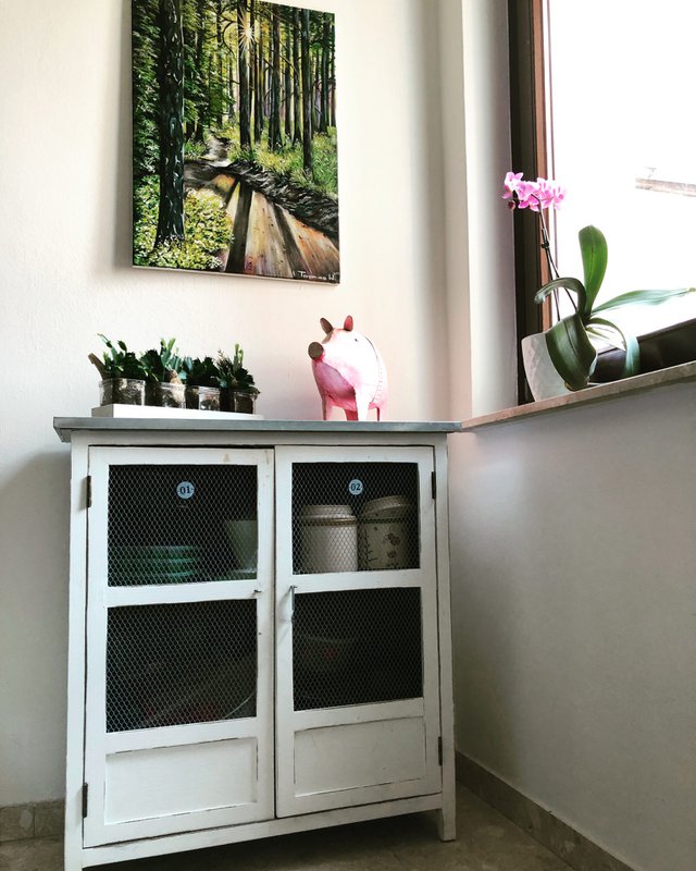 gåtur i skoven