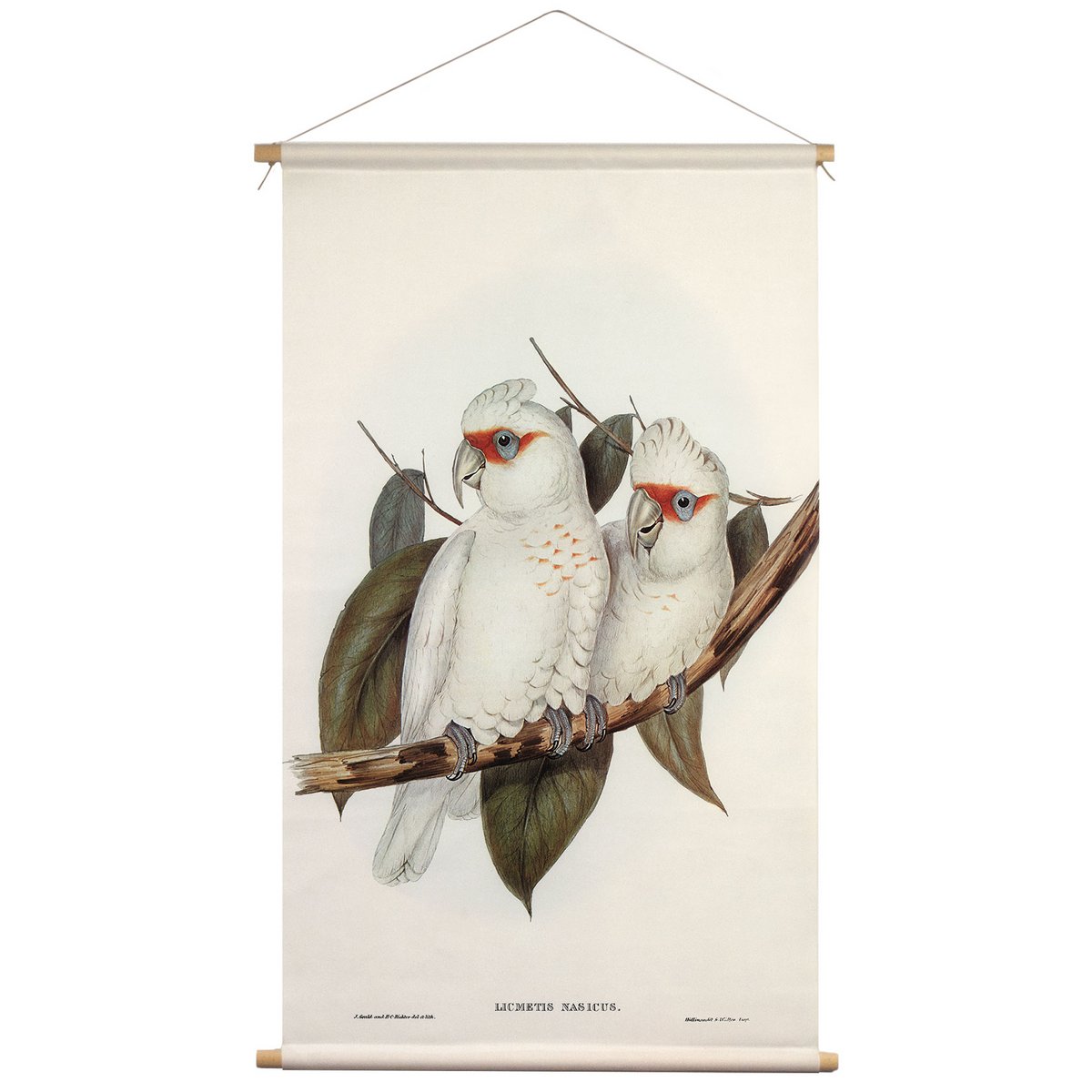 Plakat tekstylny ze skórzanym sznurkiem - Ilustracja kakadu czubata - tkanina ścienna