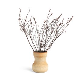 Tall, cylindrical ceramic vase with natural or black branches inside, creating a minimalist and rustic decor piece.