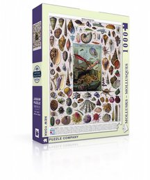 New York Puzzle Company Puzzle Mollusques - 1000 pièces