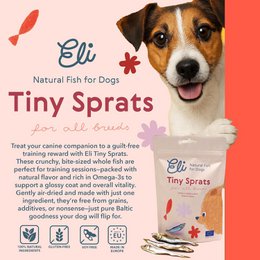 Dried Baltic Sprats Natural Single Ingredient Dog Treats 80g