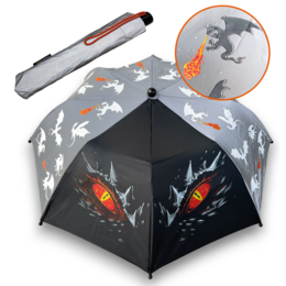 Magic umbrella dragon