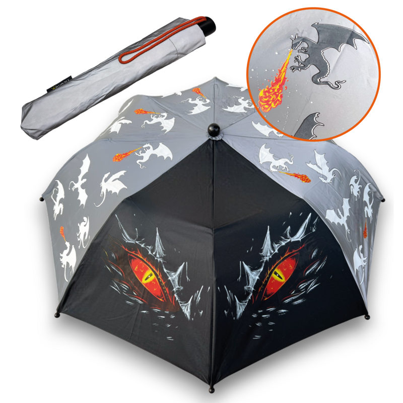 Magic umbrella dragon