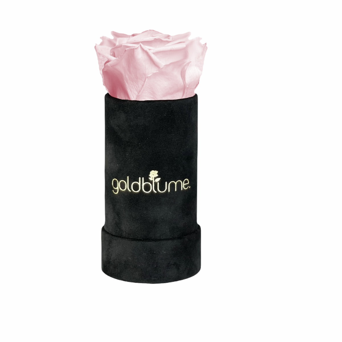 Velvet Black-collectie