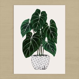 Philodendron Plant Art Print