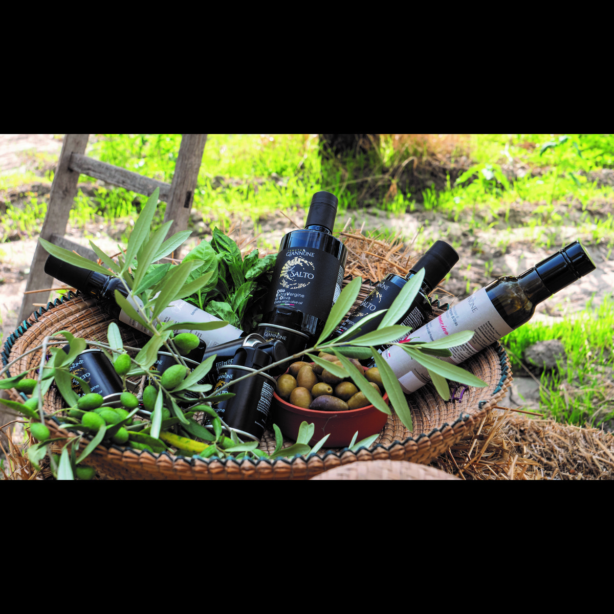 ITALIA | SICILIA | Extra Virgin Olive Oil - il SALTO | 1 LT