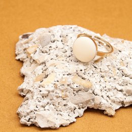 A stackable ring with a round, smooth design in various neutral colors including blanc, nude, mousse, noir, ambre, brique, midnight blue, prusse, corail, aniline, sable, and massaï.