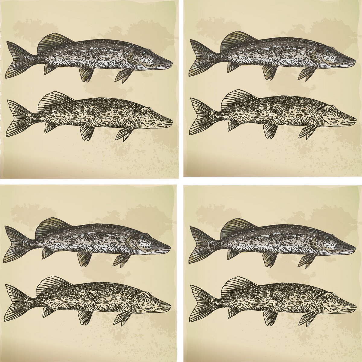 Stone Coaster Set - Fish Couple