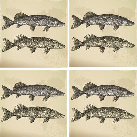 Stone Coaster Set - Fish Couple