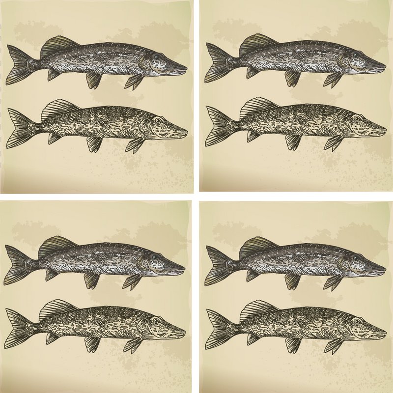 Stone Coaster Set - Fish Couple