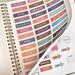 Graviditets Journal