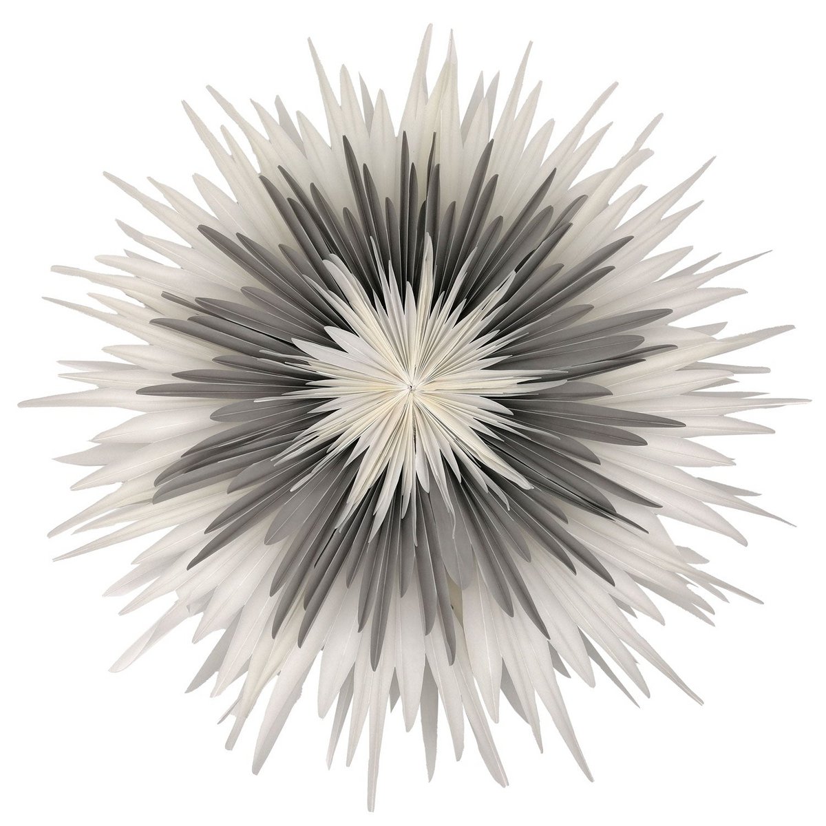Stella-Dalia, papel pergamino blanco-gris-blanco 60 cm