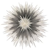 Stella-Dalia, parchment paper white-gray-white 60 cm