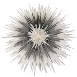 Stella-Dalia, parchment paper white-gray-white 60 cm