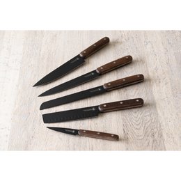 LAGUIOLE 40269023, sæt med 5, køkkenknive sæt, rustfrit stål sæt, titanium, med akacie træblok, kokkeknive, brød, skimmer, kød, fisk, sort klinge