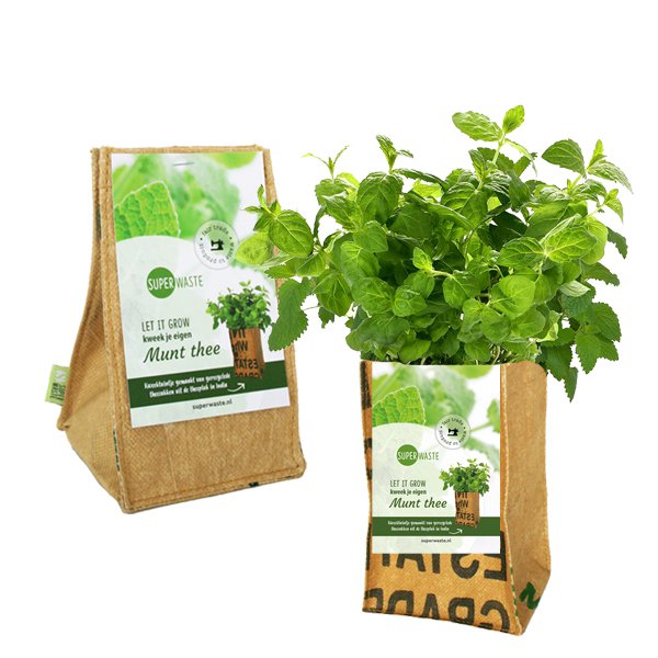Let It Grow Grow Garden - Mint