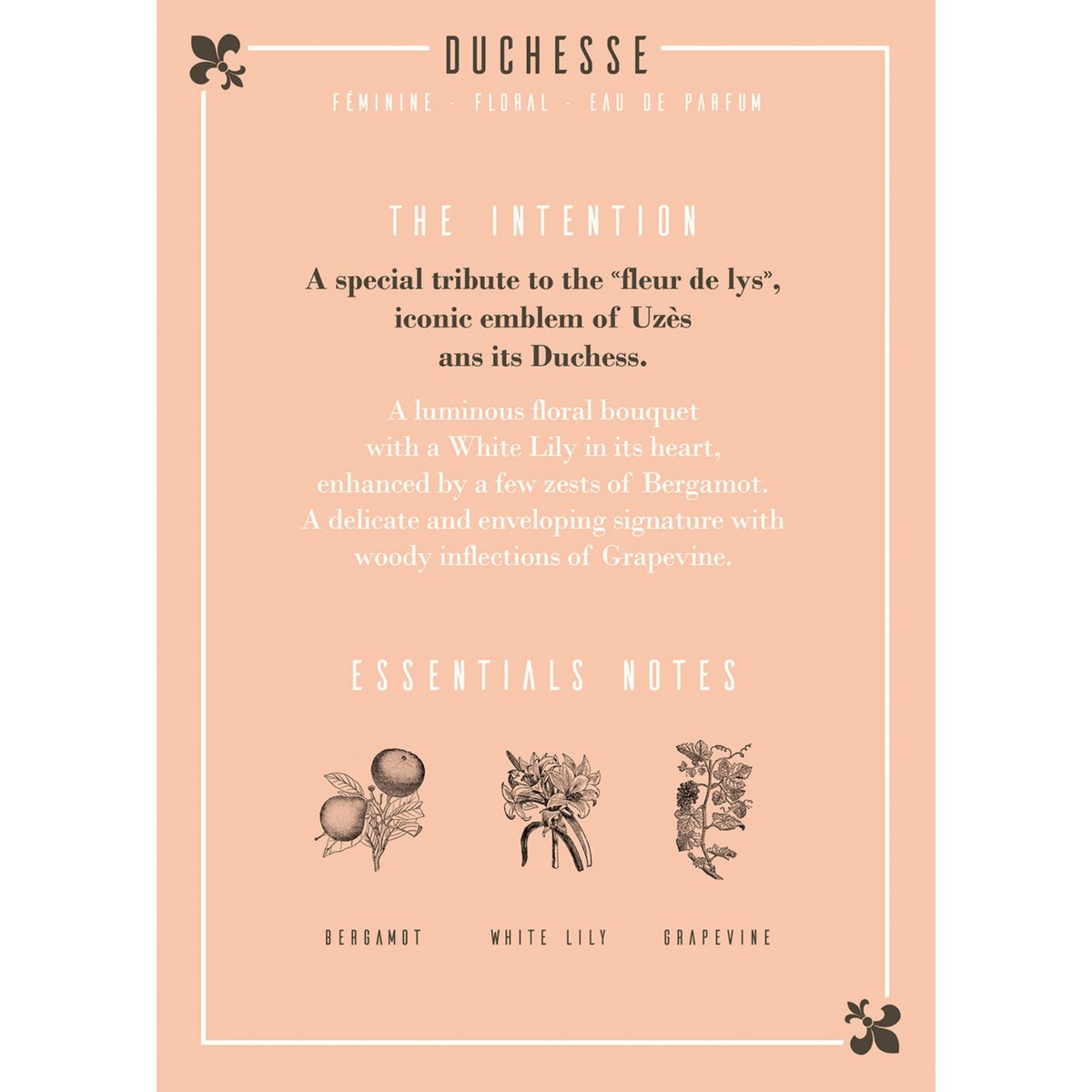 Duchesse Eau de Parfum 50 ml