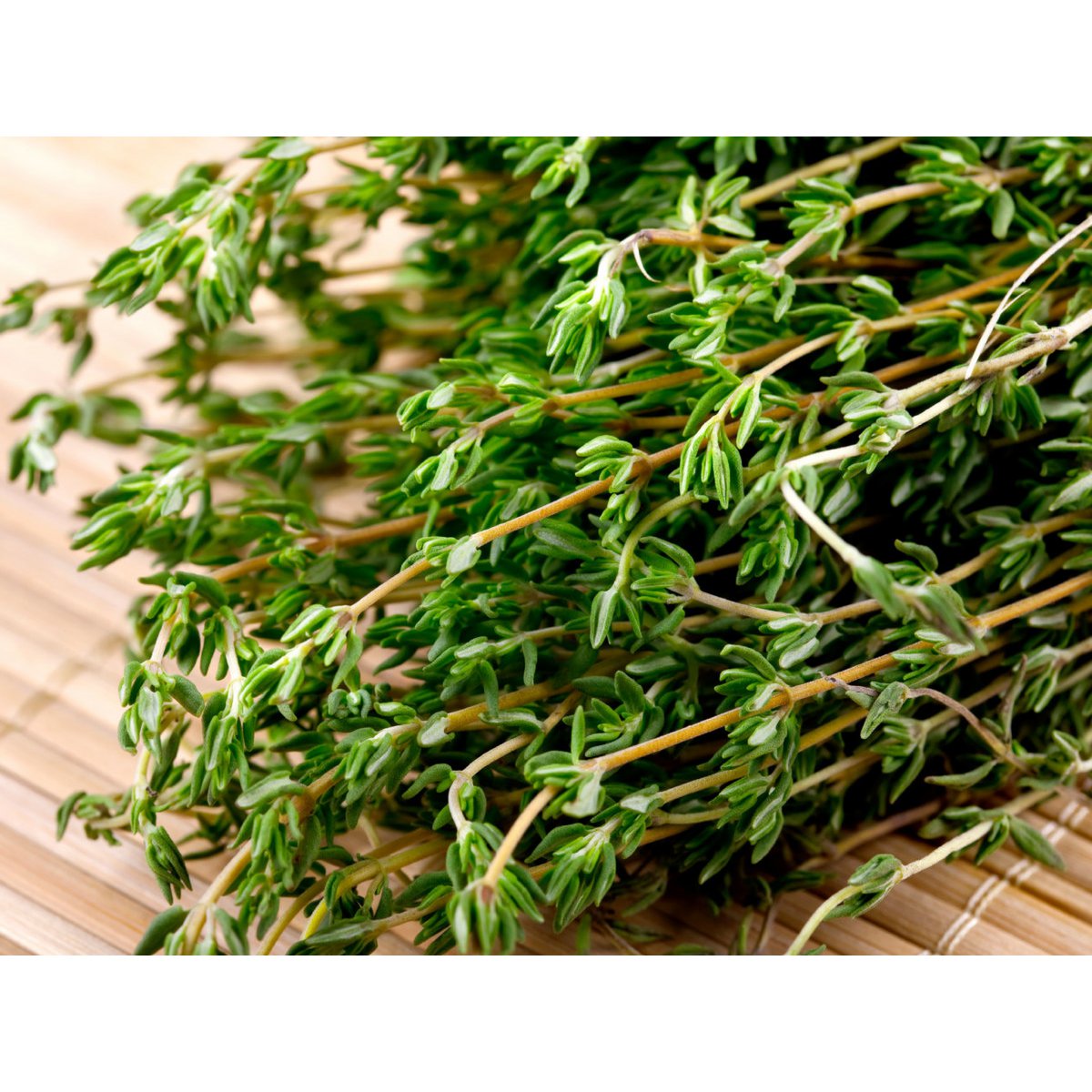 Greek Thyme 25g
