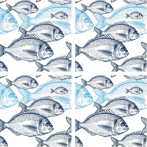 Stone Coaster Set - Fish School