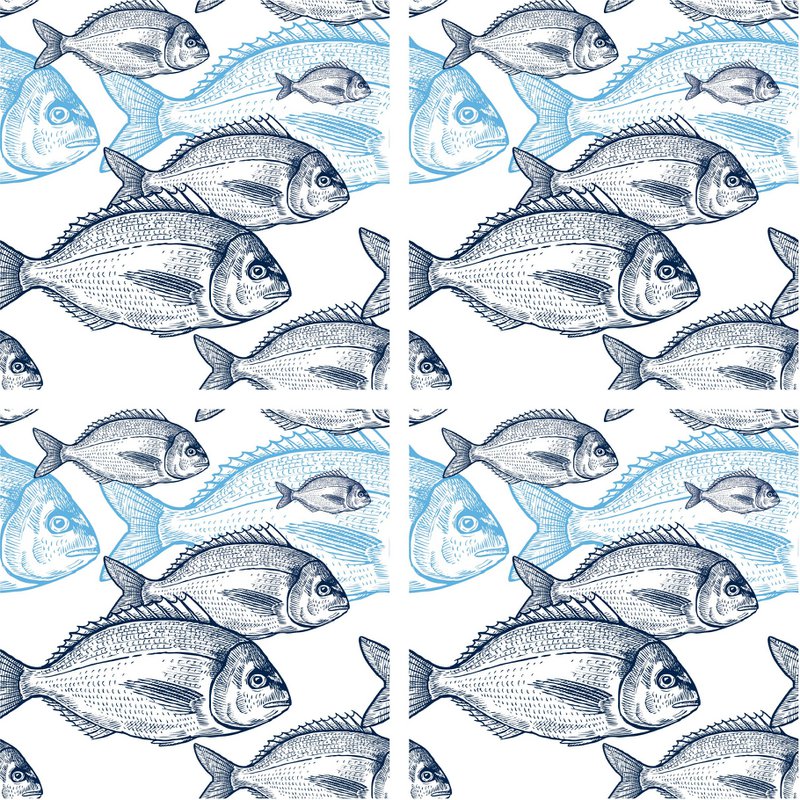 Stone Coaster Set - Fish School