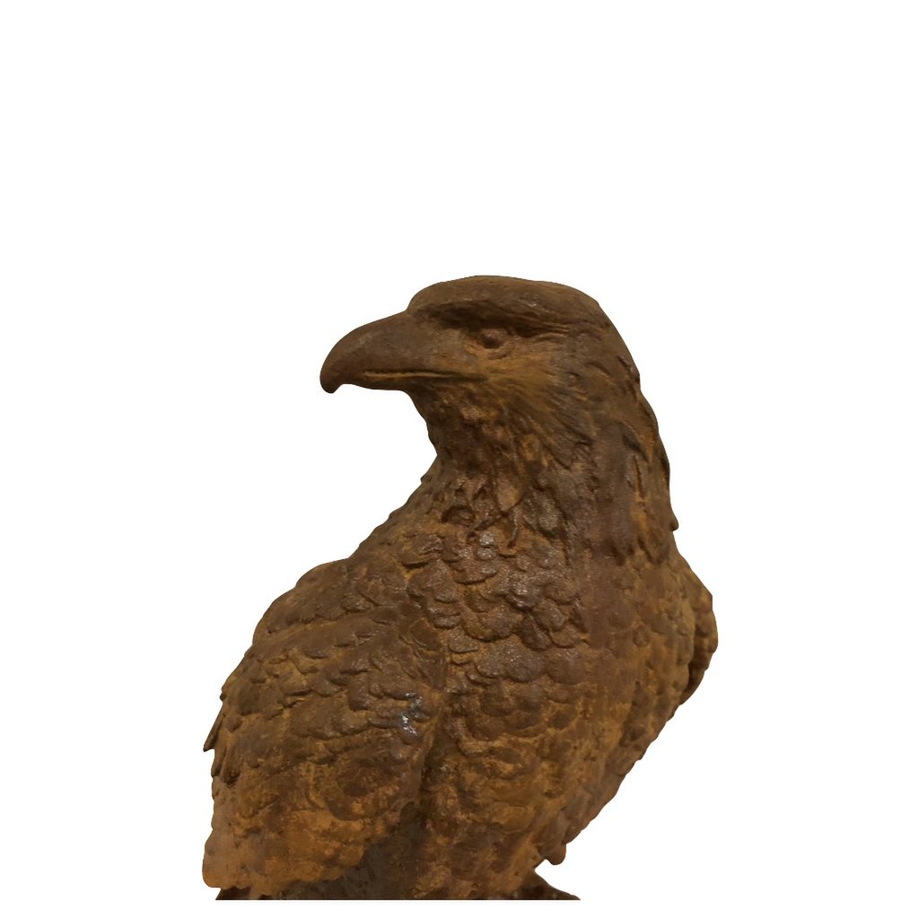 Cast iron eagle