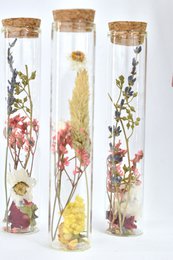 Tubi di fiori secchi - 15 cm