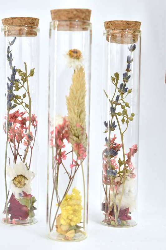 Tubi di fiori secchi - 15 cm