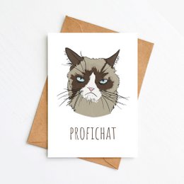 ProfiCHAT!