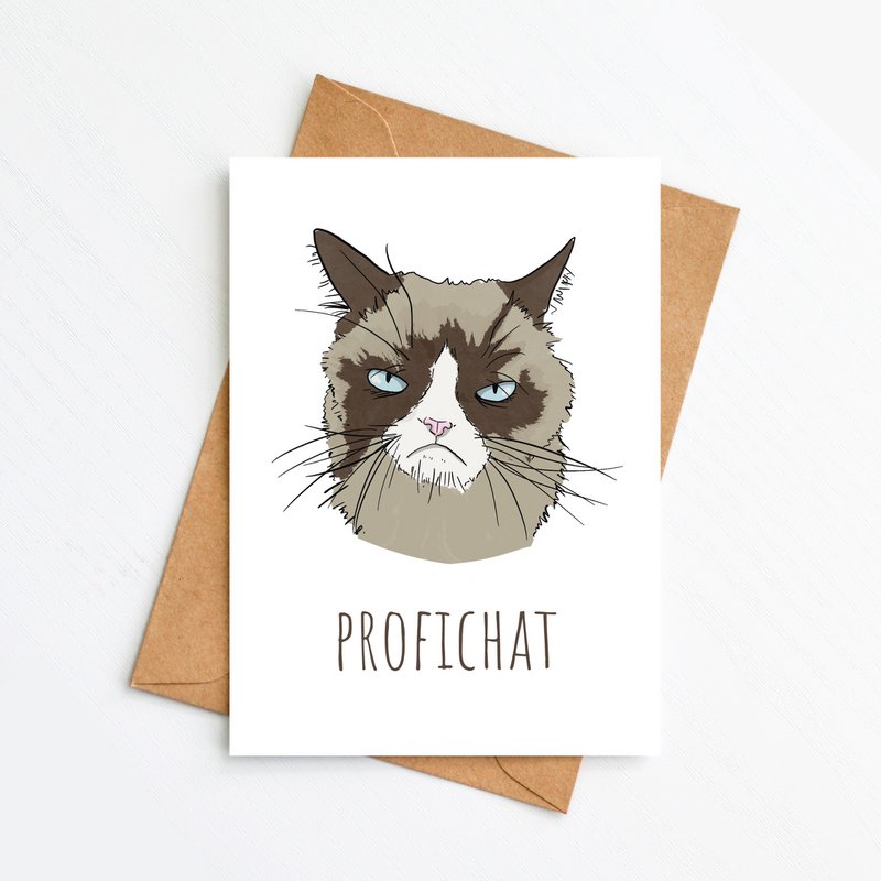 ProfiCHAT!