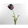 Tulp, 61cm, donkerpaars