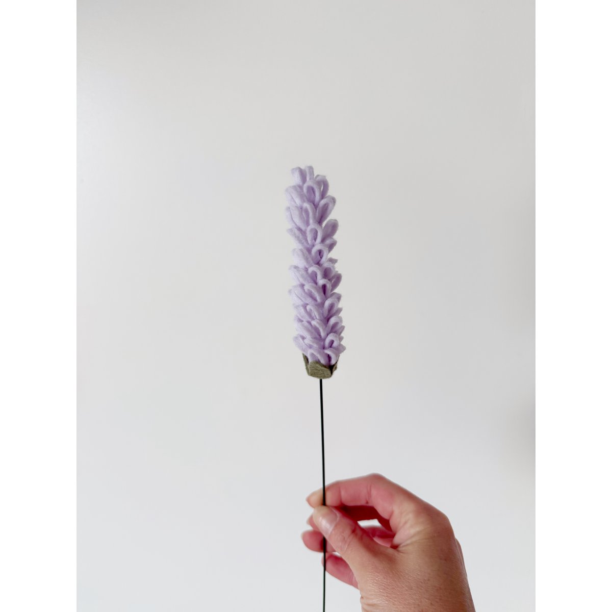 Viltbloem Lavendel Lila
