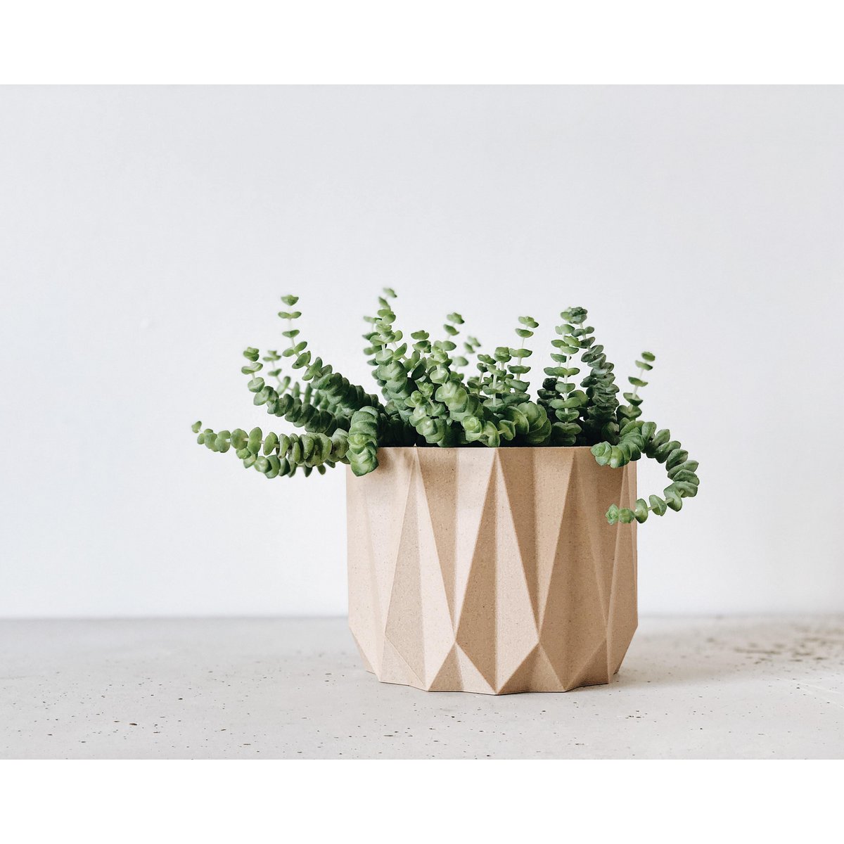 Natural Wood M - 8,5 cm inner diameter