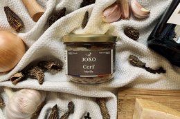 A savory venison terrine with earthy morel mushrooms, presented in a rustic setting with various cooking ingredients.