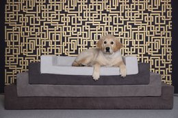 Materac (COMFORT) KOTY I PSY