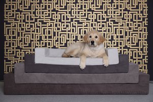 Matras (COMFORT) KATTEN EN HONDEN