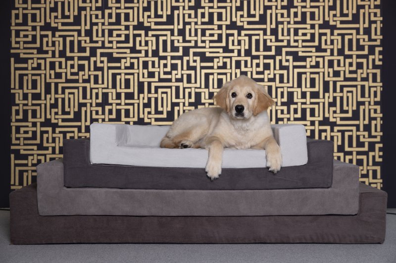 Mattress (COMFORT) CATS AND DOGS