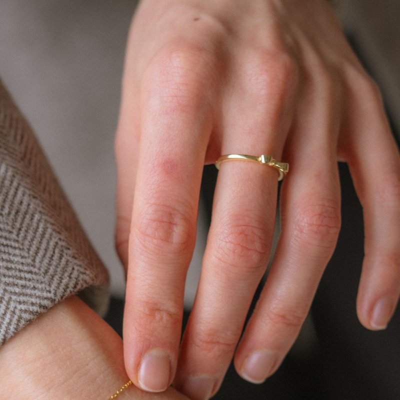 Anillo de bucle