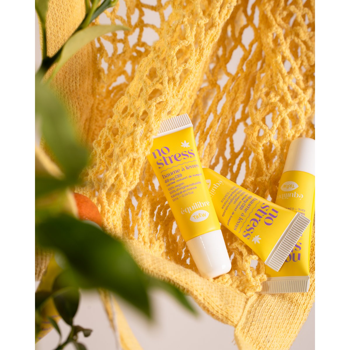 Vertriebspartner NEU Trew x Equilibre Kumquat Aftersun Lippenbalsam 100 % natürlich und vegan 🍊
