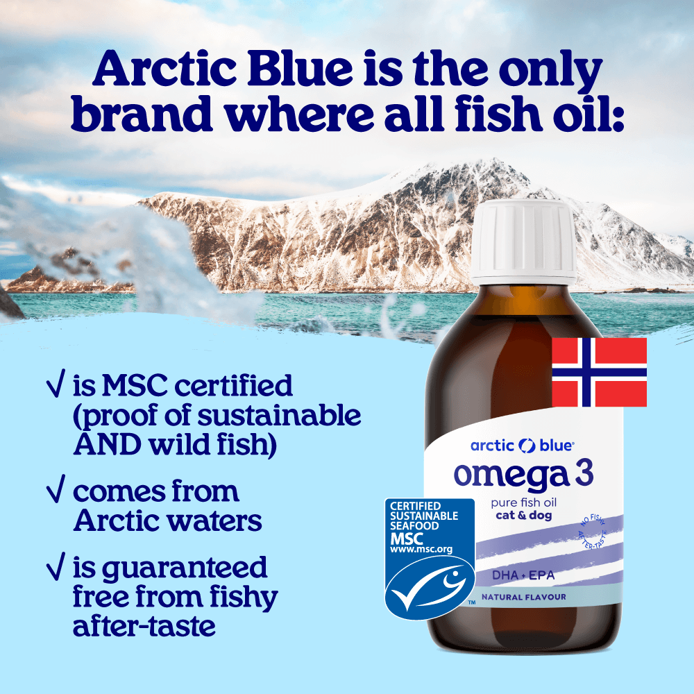 Fish Oil Animal DHA and EPA