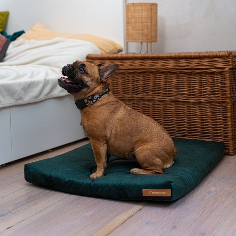 Madras "Soft" til en hund og en kat - genbrugt