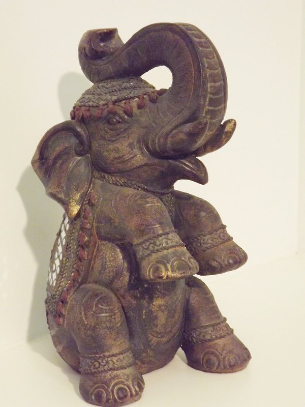 Elefante sentado con la espalda