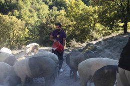 🇬🇧 Panceta de cerdo negro salvaje de Umbría - salami artesanal sazonado