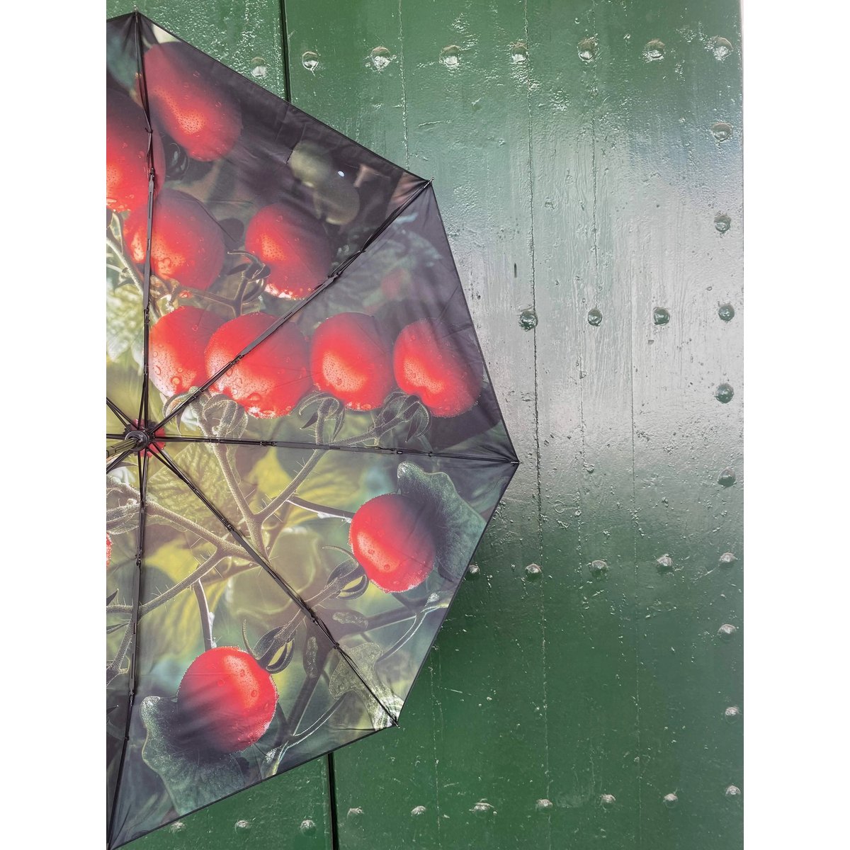 Tomato Umbrella – Windproof & UPF50+ Protection