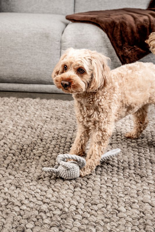 Juguete para perros Conejo Theo