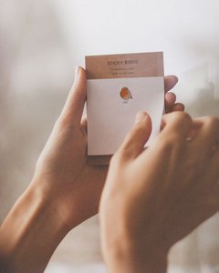 Sticky Birds | robin