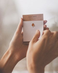 Sticky Birds | robin