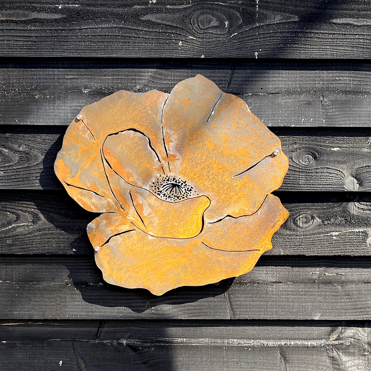 Wall Flower M